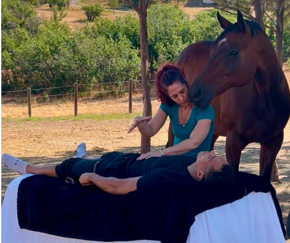 Energy healing session with a horse