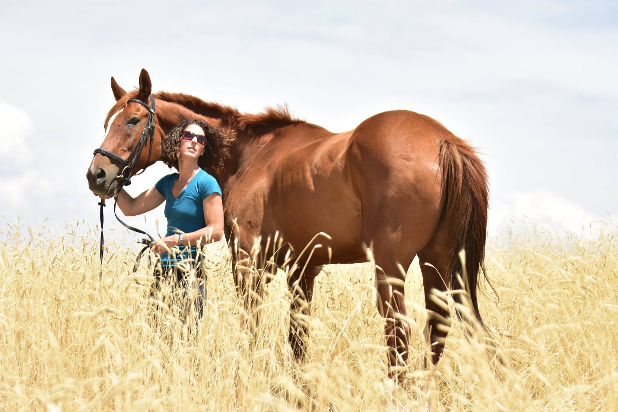 With horse in field