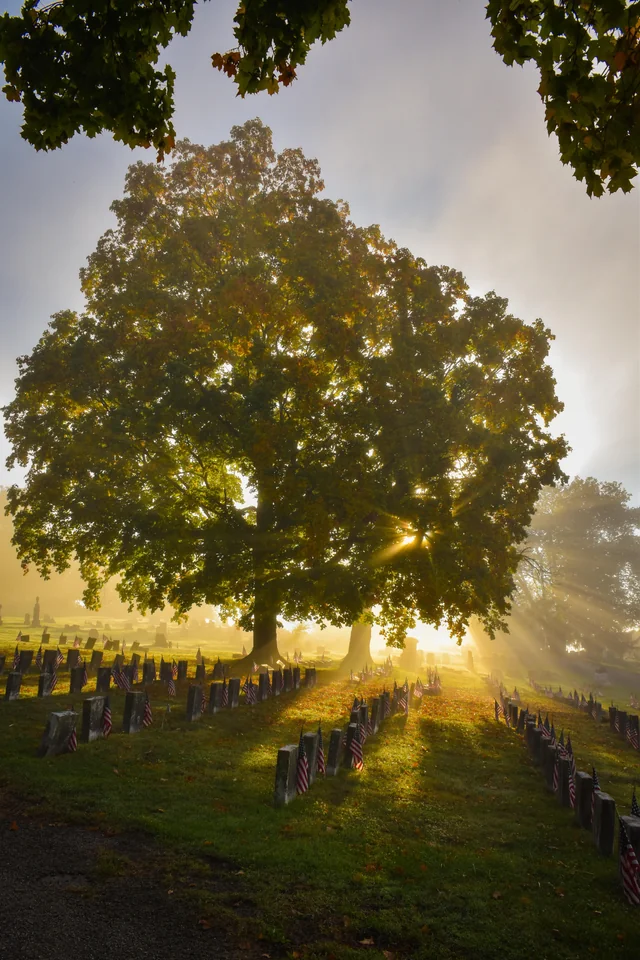 Historic cemetery with autumn leaves