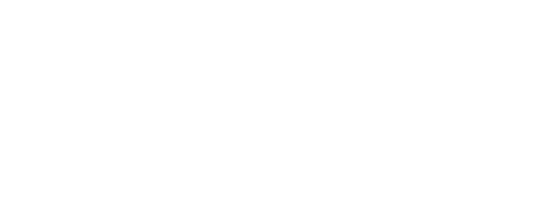 Opulent Portraits