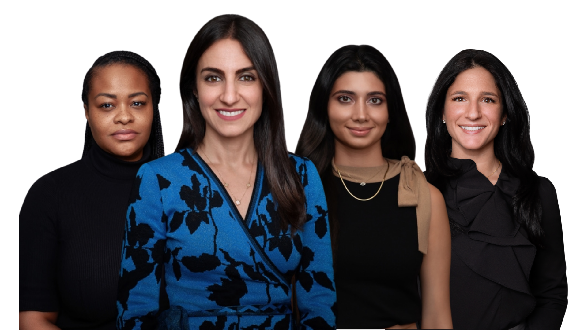 Maryam Jahedi Law Firm Legal Team
