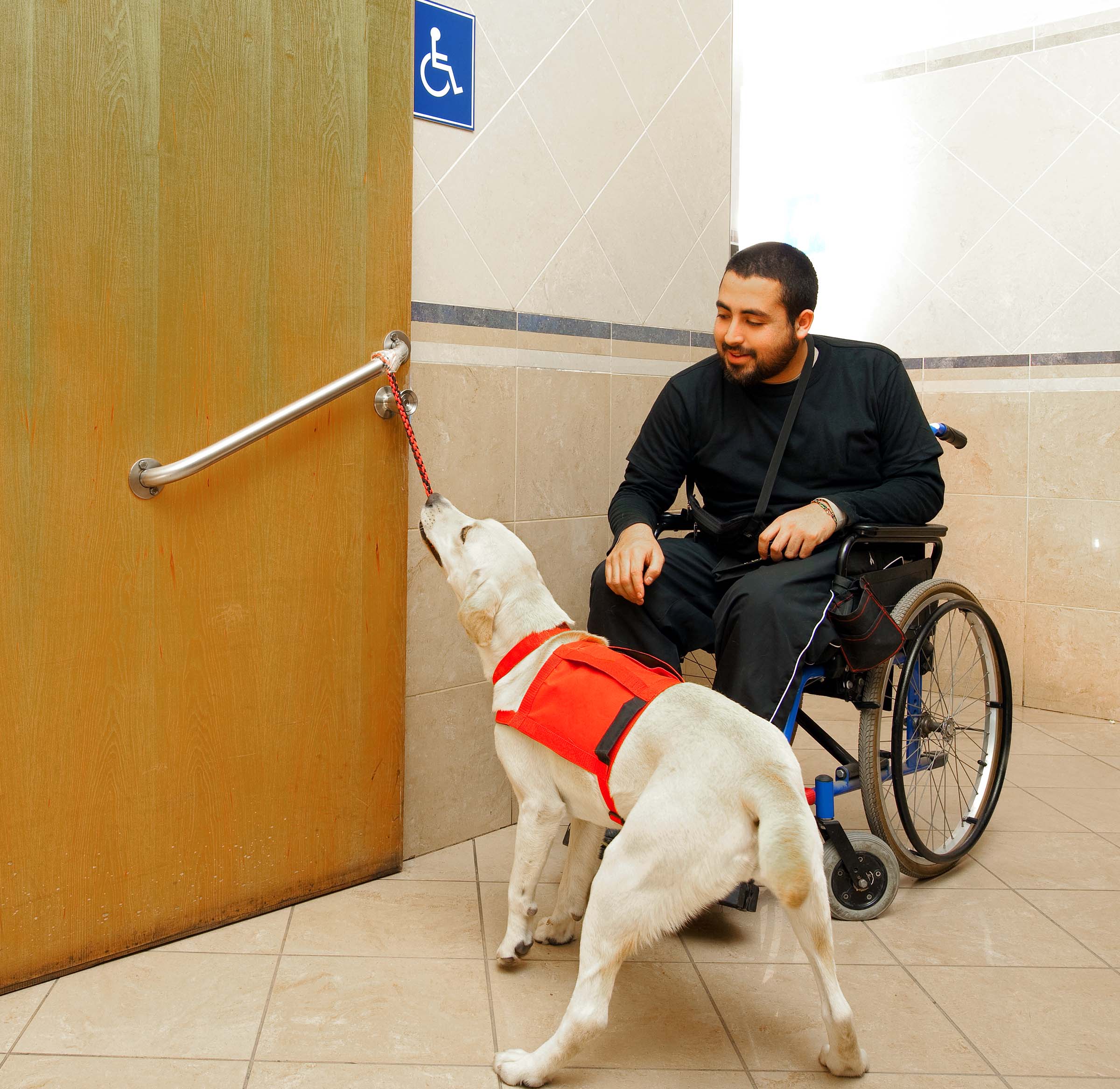 Specialized Training