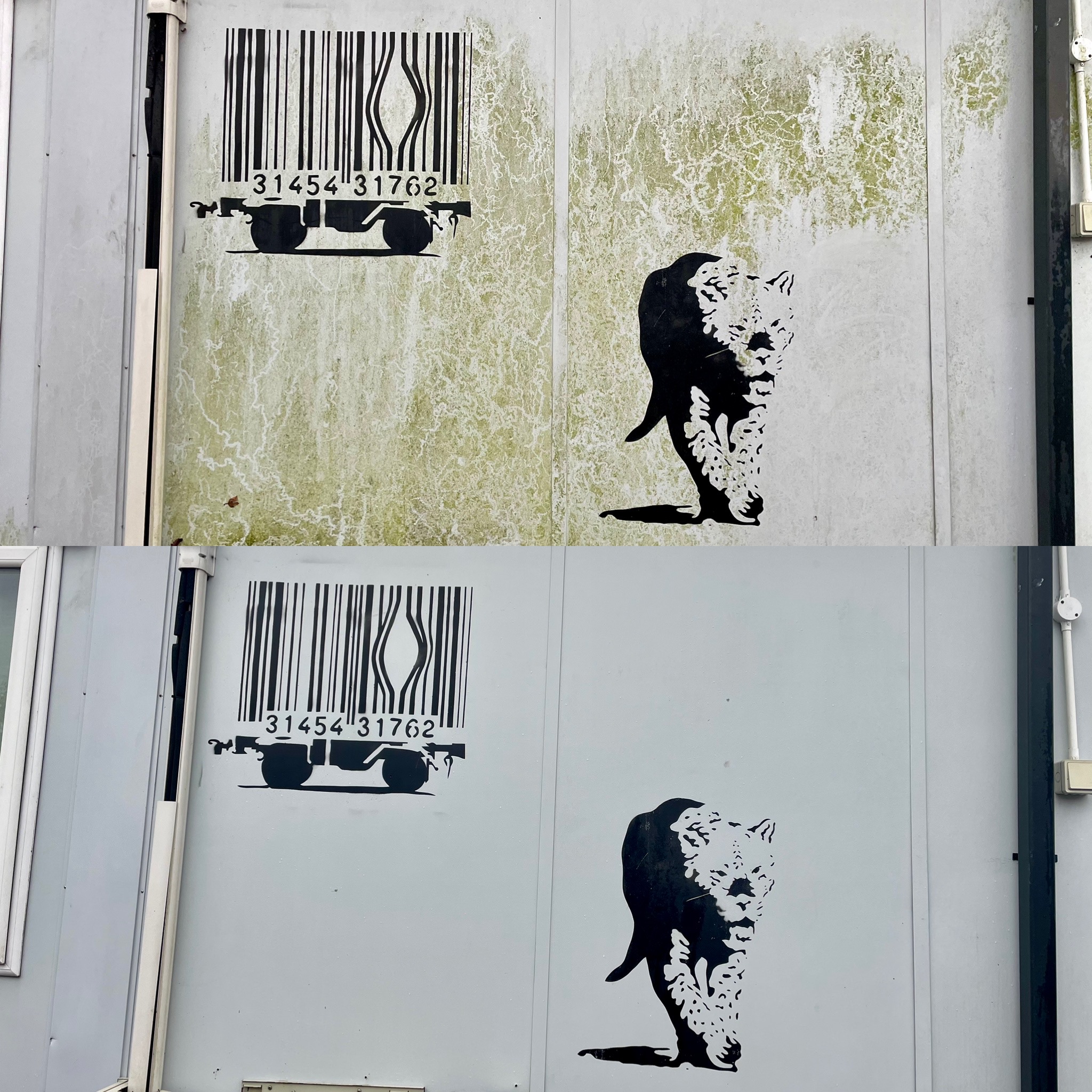 School cleaning before and after 3