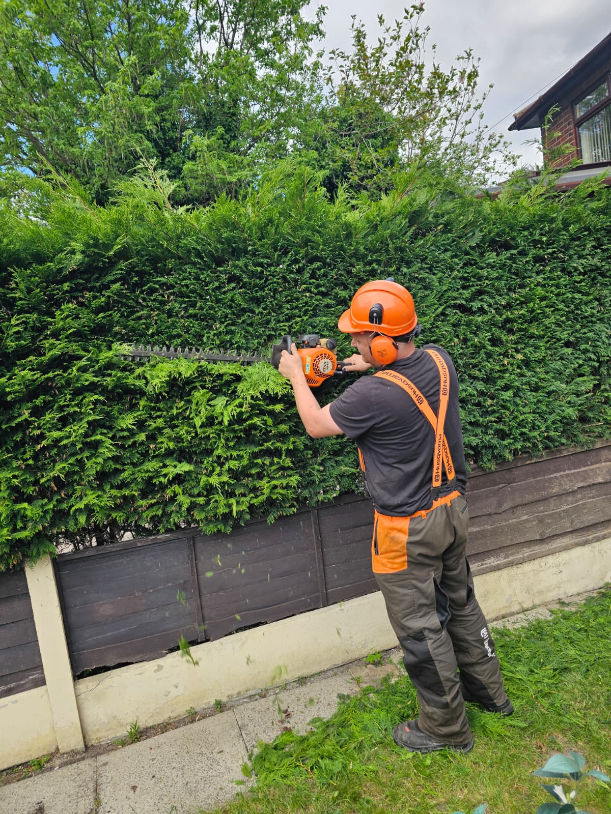 Tree Pruning