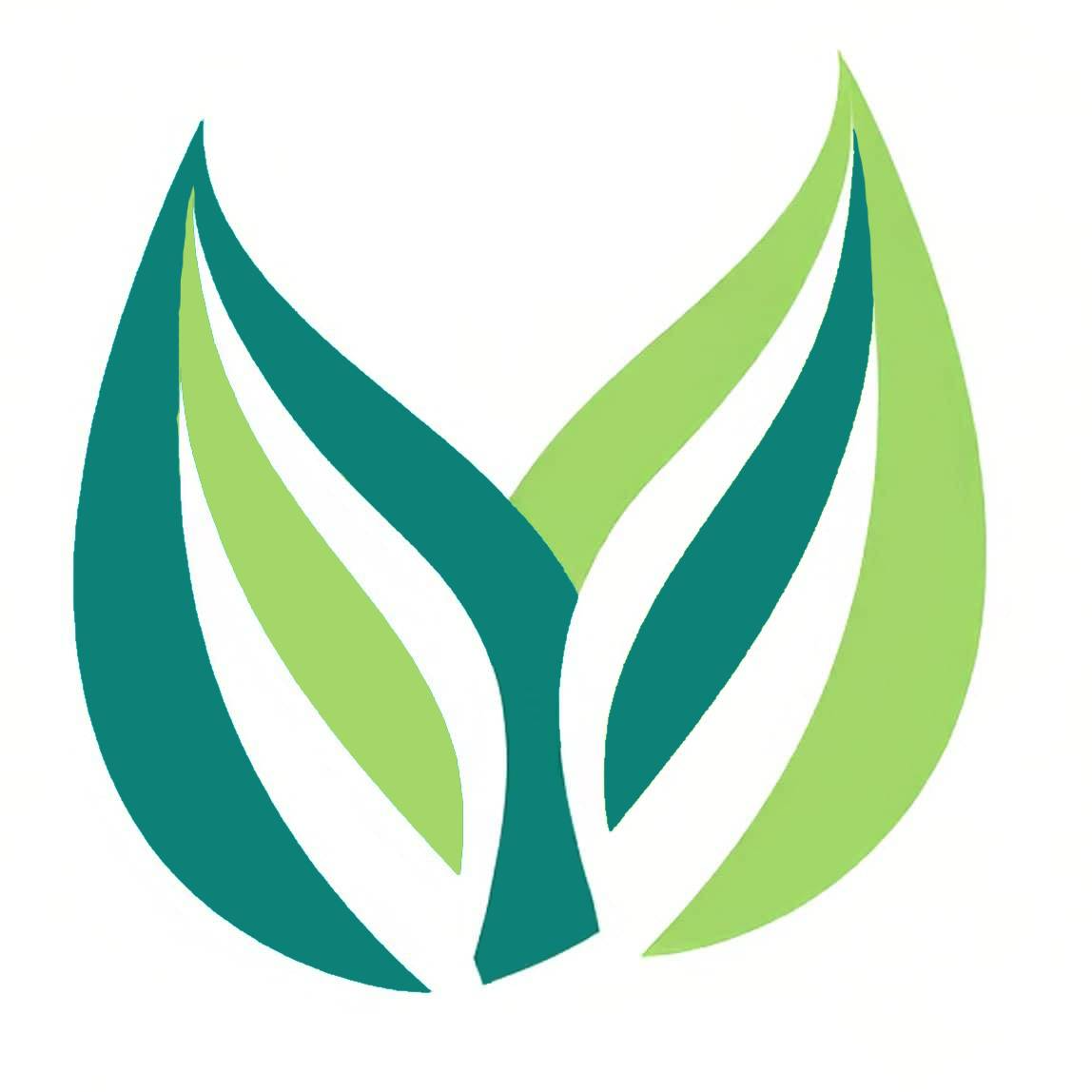 Twin Leaf Tree Care Logo