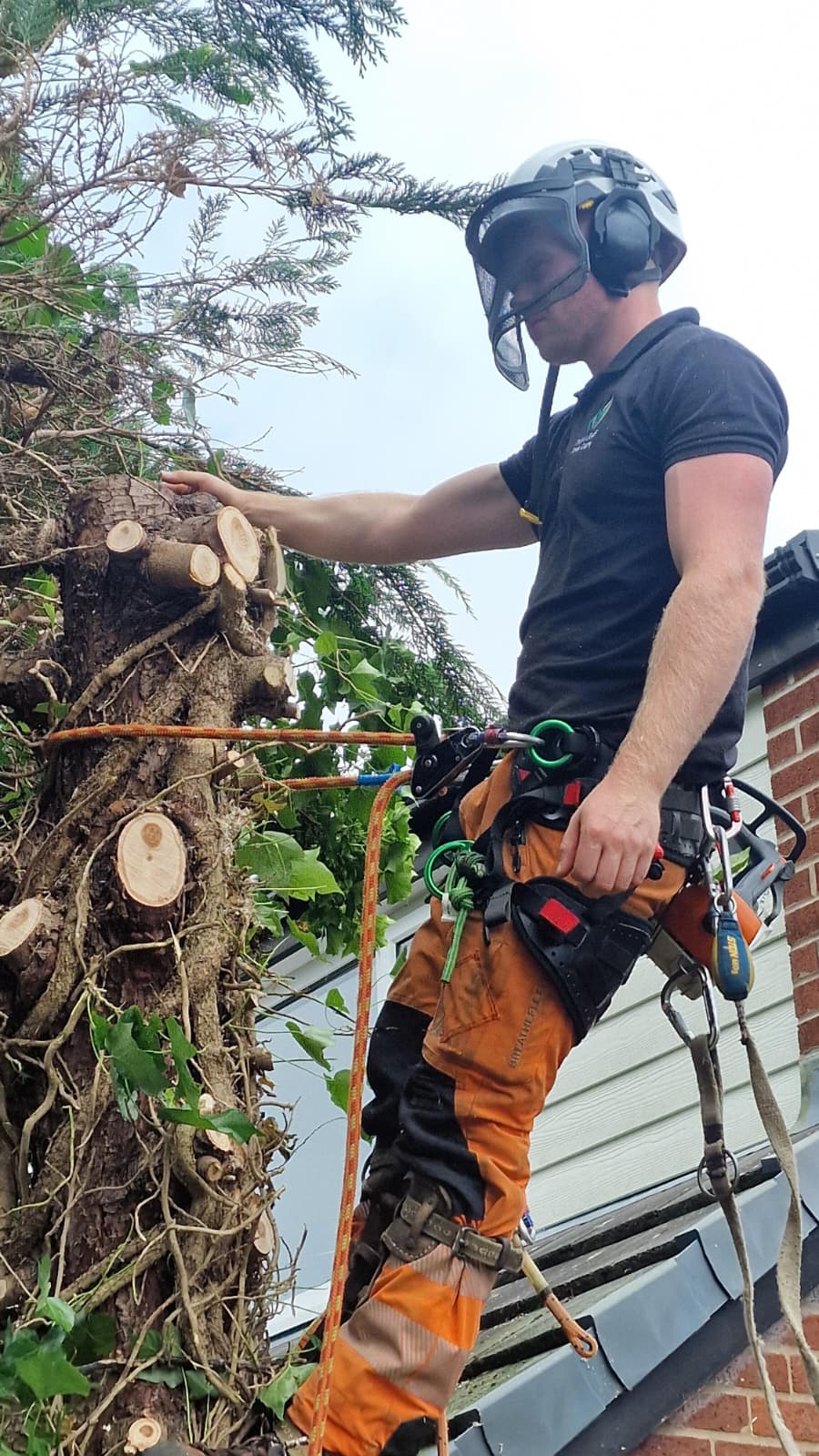 Emergency Tree Surgeon
