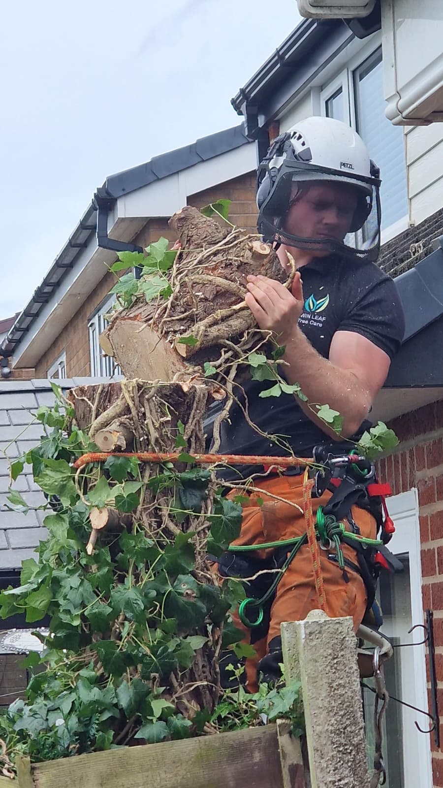 Tree Care Team