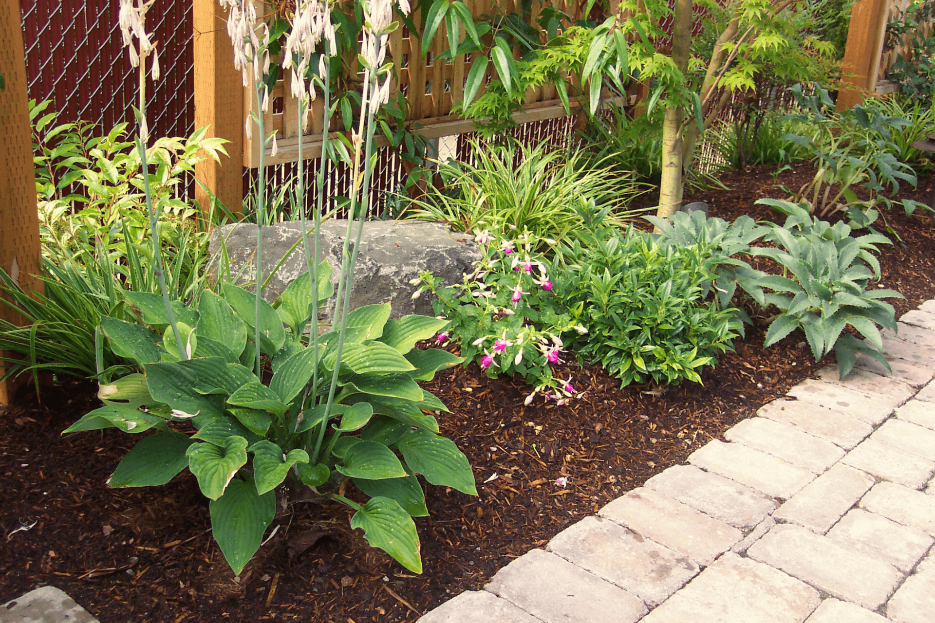 Landscape improvements in Salem, Oregon