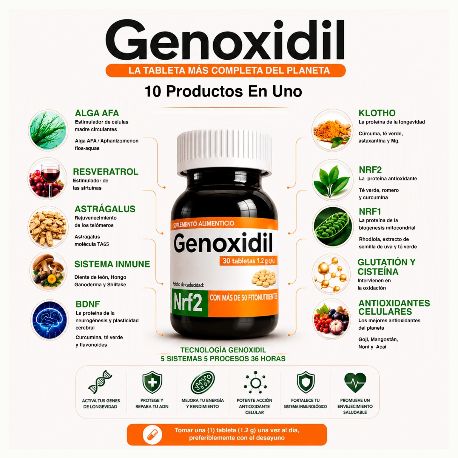 Genoxidil — 10 Productos En Uno con principios activos y nutrientes celulares