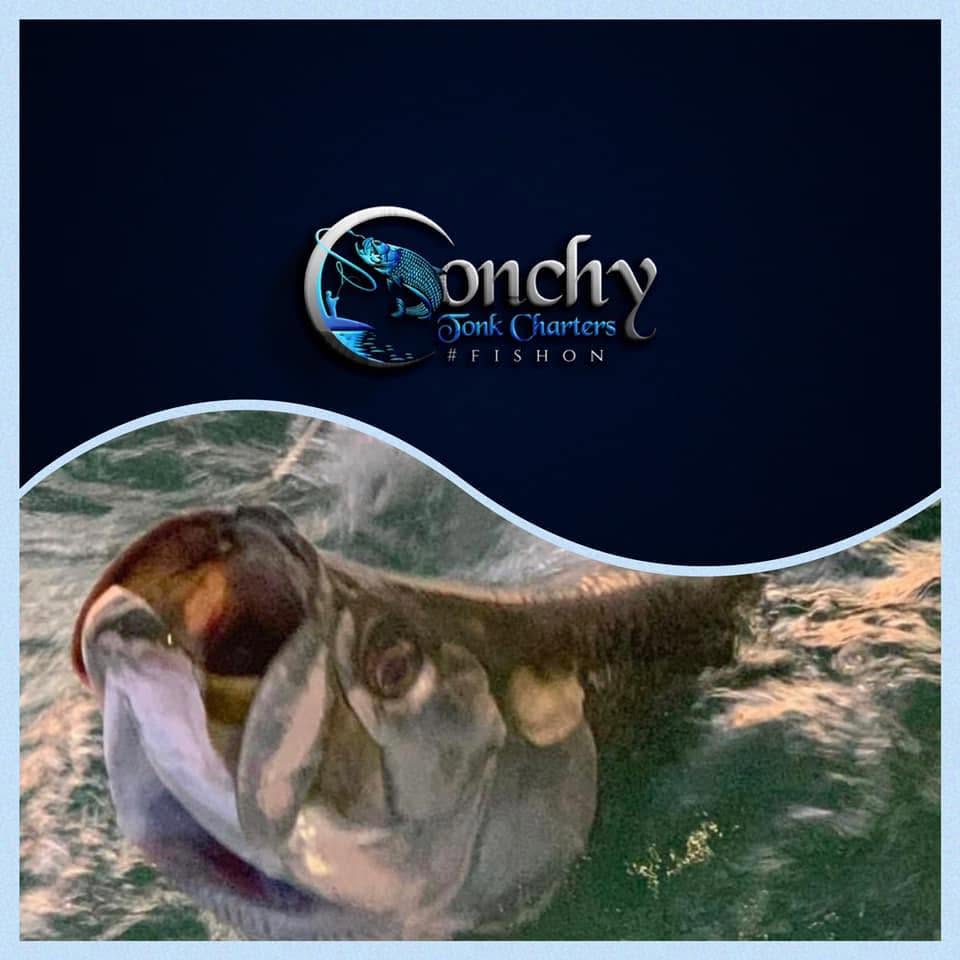 Conchy Tonk Charters