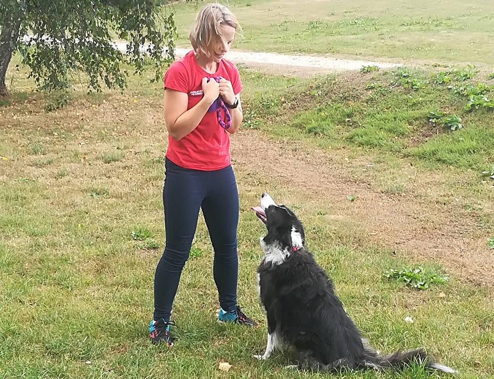 Lindsay coaching a dog owner