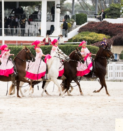 Show de Caballos