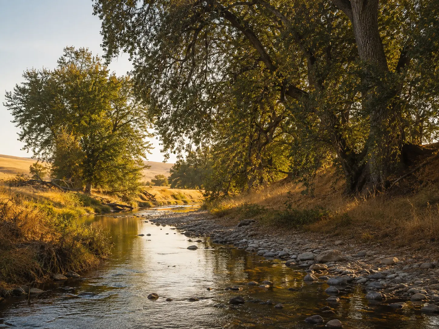 Cache Creek landscape near Esparto