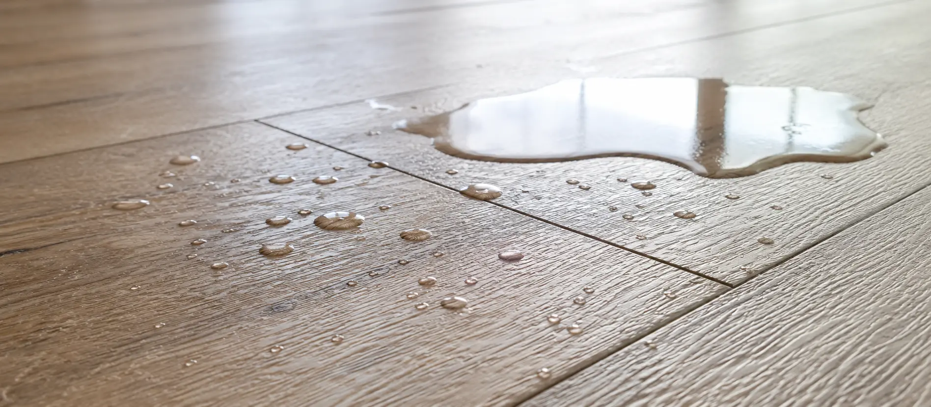 Waterproof Vinyl Flooring Showcase