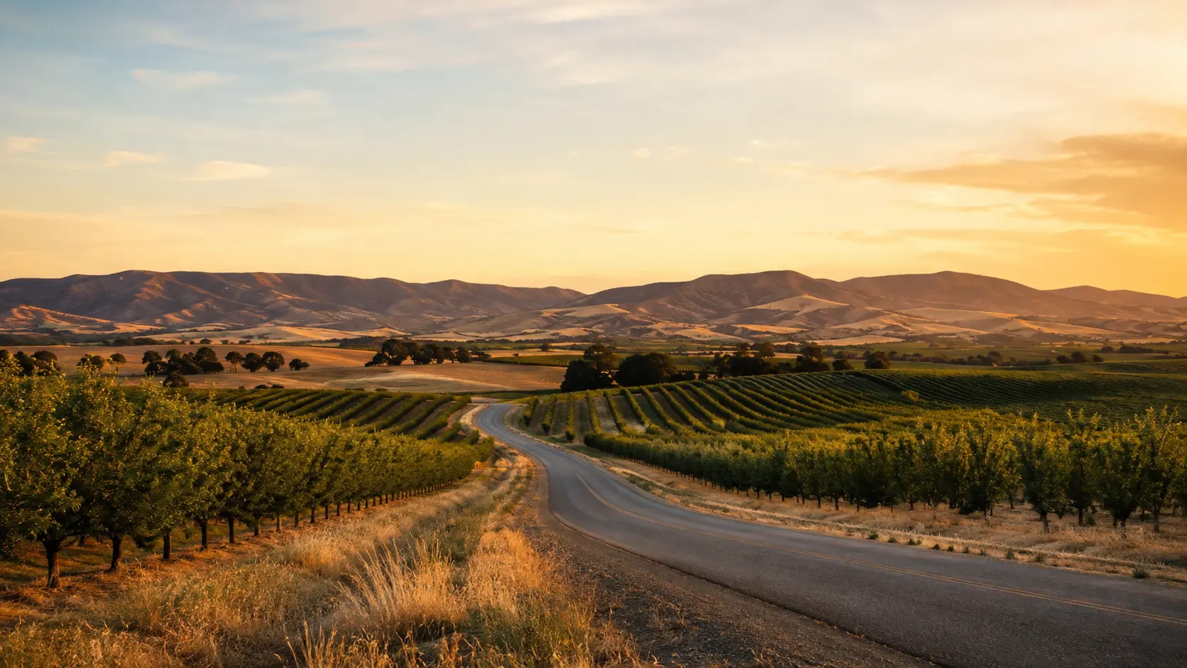 Capay Valley orchards and rolling hills near Esparto, California
