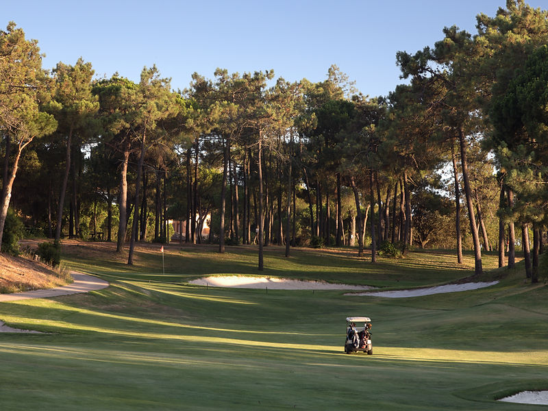 Championship golf