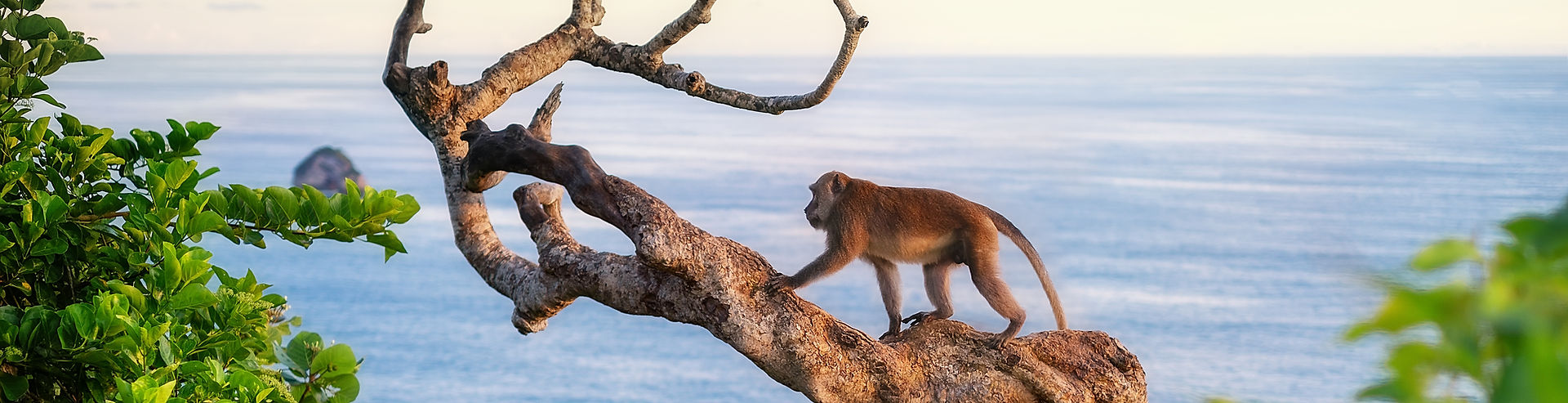 Discover Bali Eco-Escapes