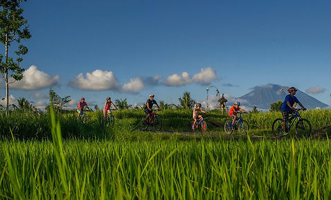 Eco-Friendly Day Tours