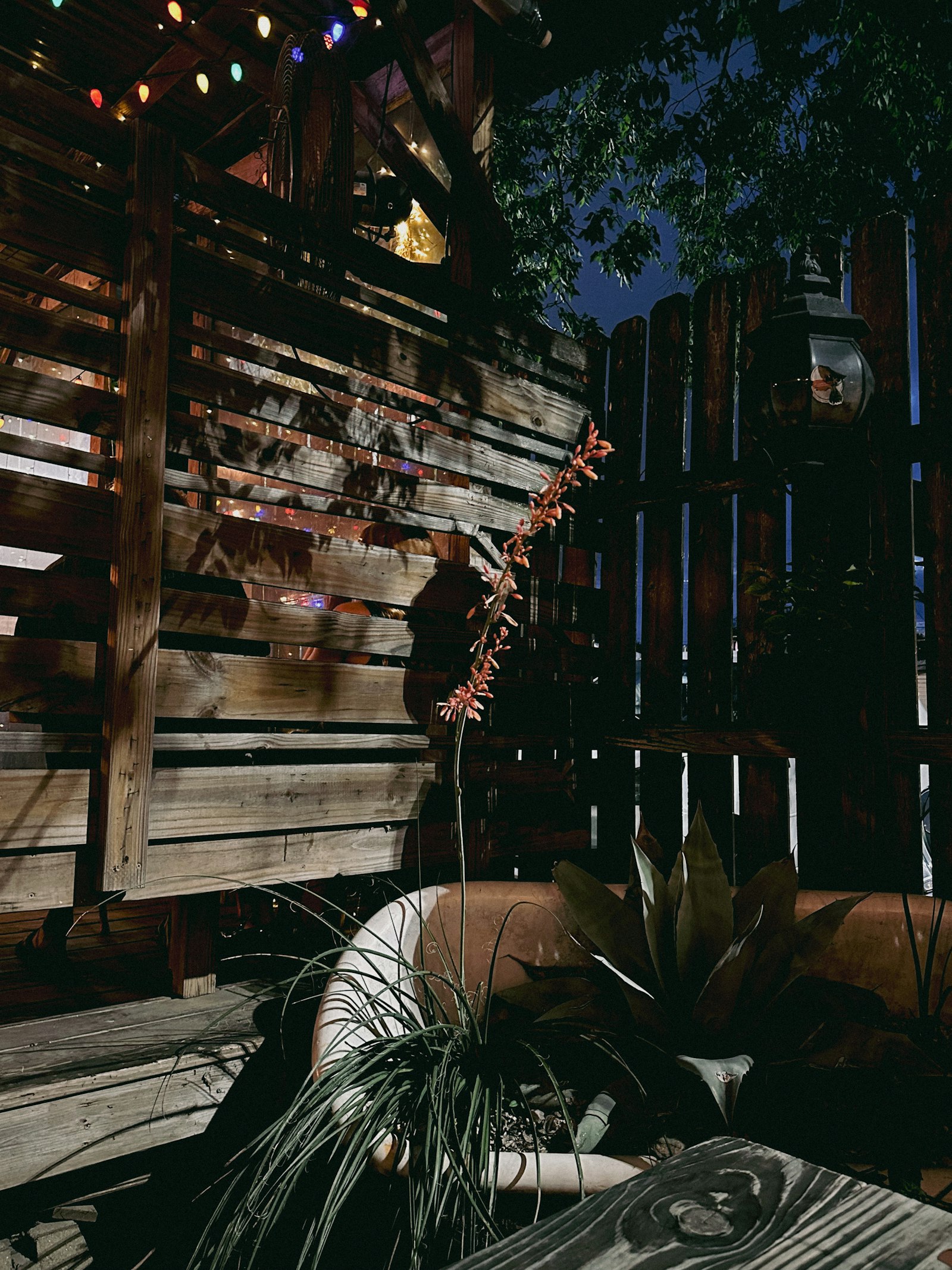 Stunning backyard patio with professional landscape lighting at night