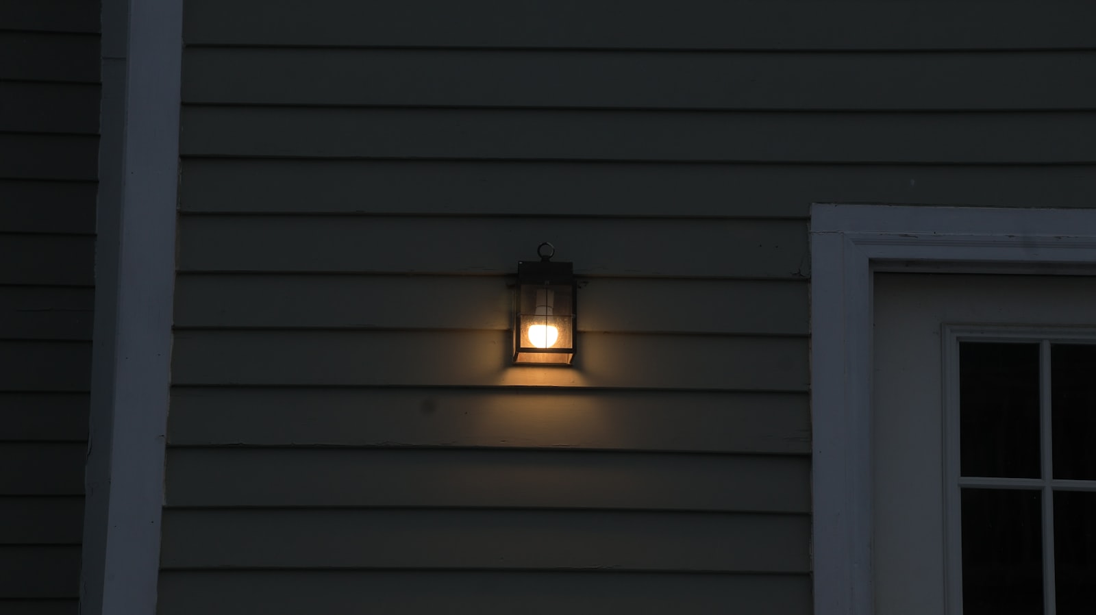 Well-lit backyard with security landscape lighting