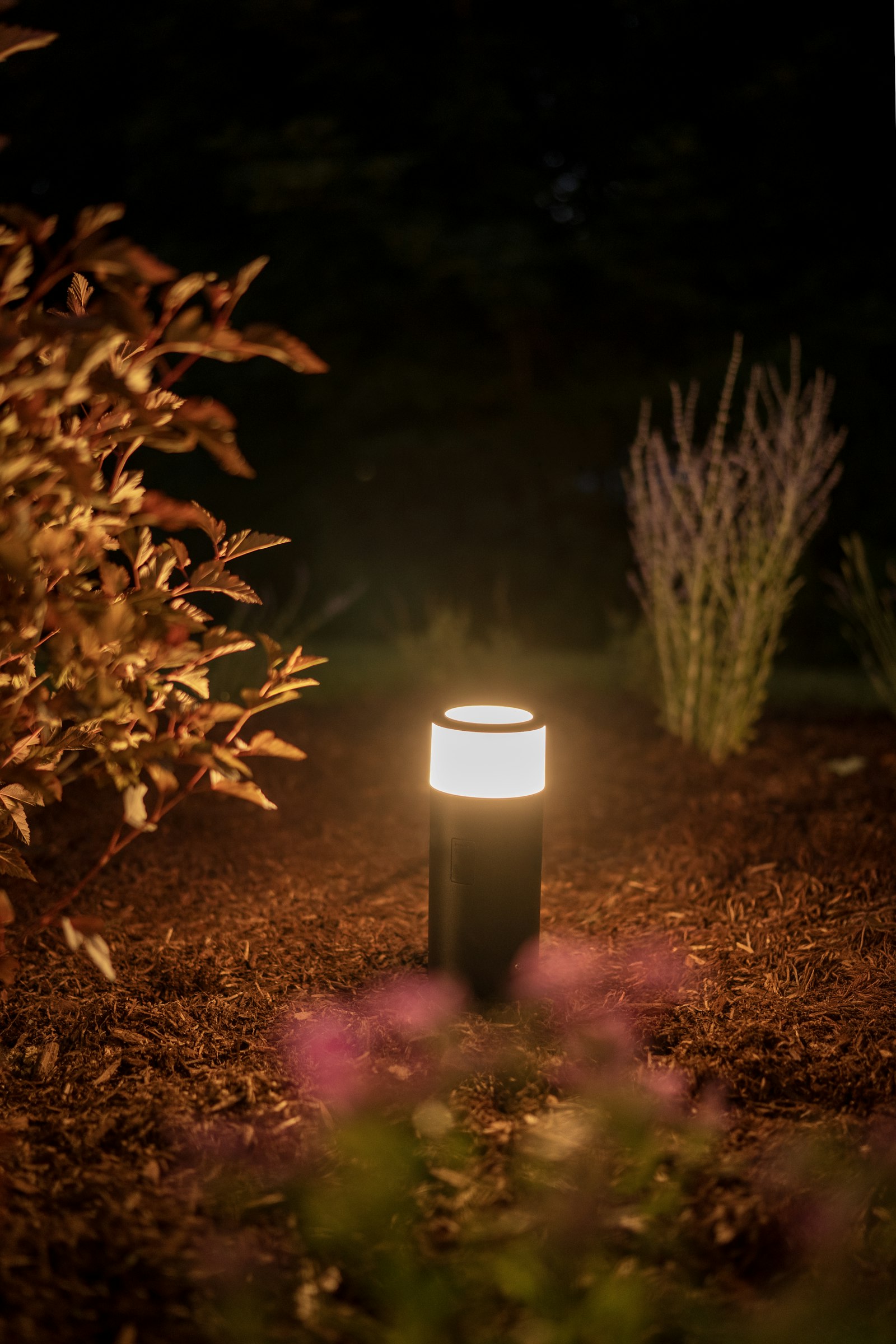 Outdoor bollard light illuminating a garden bed at night in Enterprise, NV