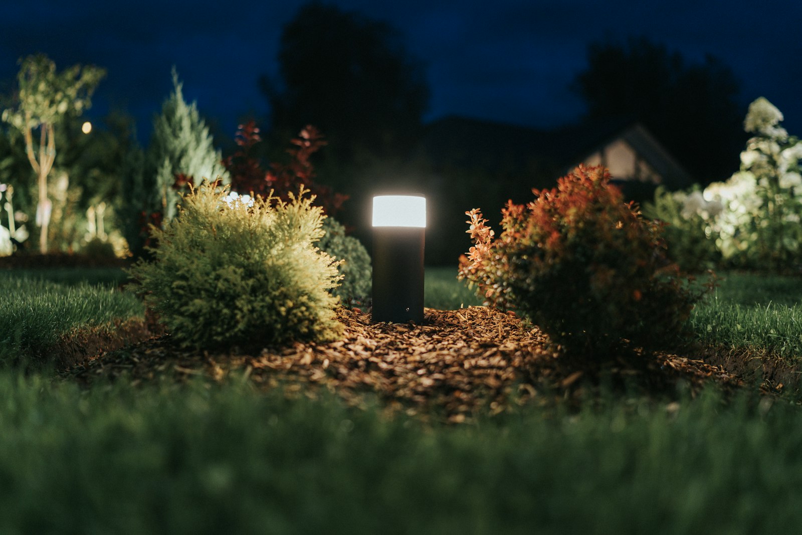 Garden bushes and trees lit with warm landscape lighting at night