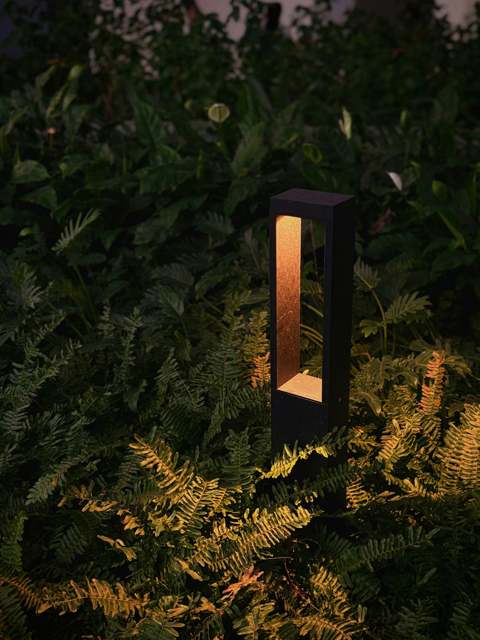 Modern LED garden light illuminating lush green foliage at night