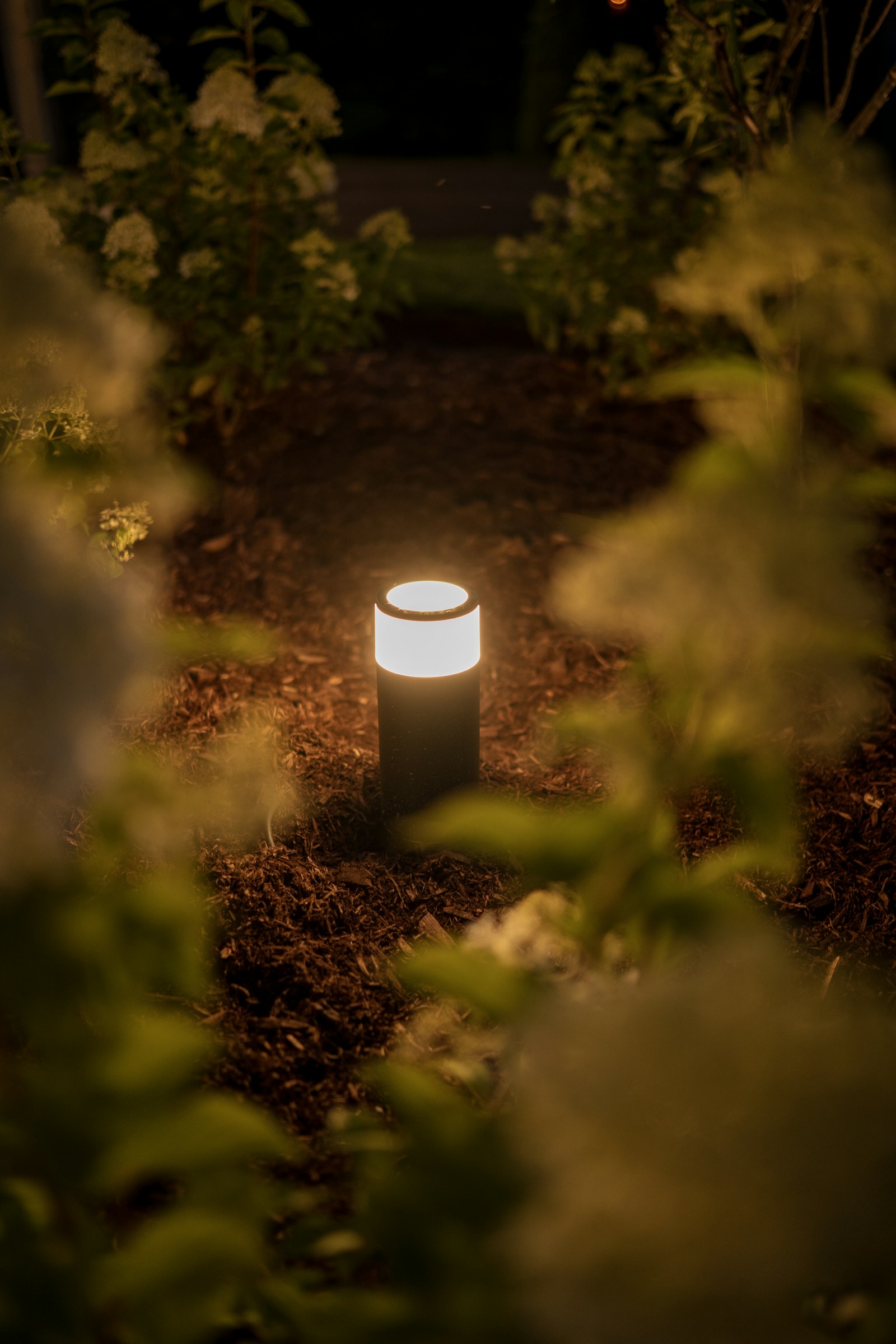 Garden pathway illuminated with low-voltage step lights