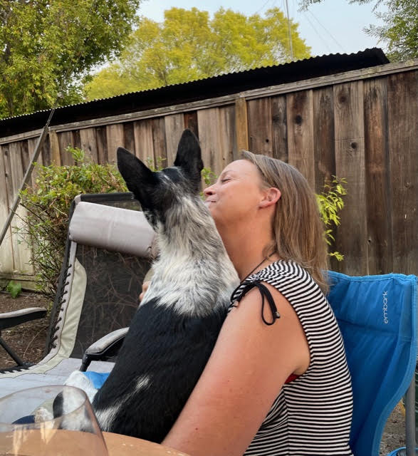 Beck, a Border Collie, resting outdoors