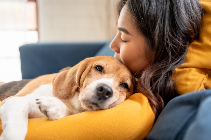 Moving Beyond "Bad Behavior": Understanding Dysregulation in Dogs