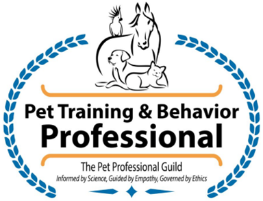 Certification 2