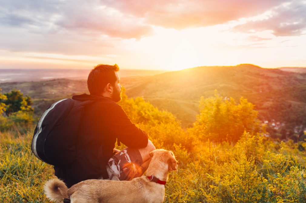 Man and dog sitting together looking out at a sunset over the hills