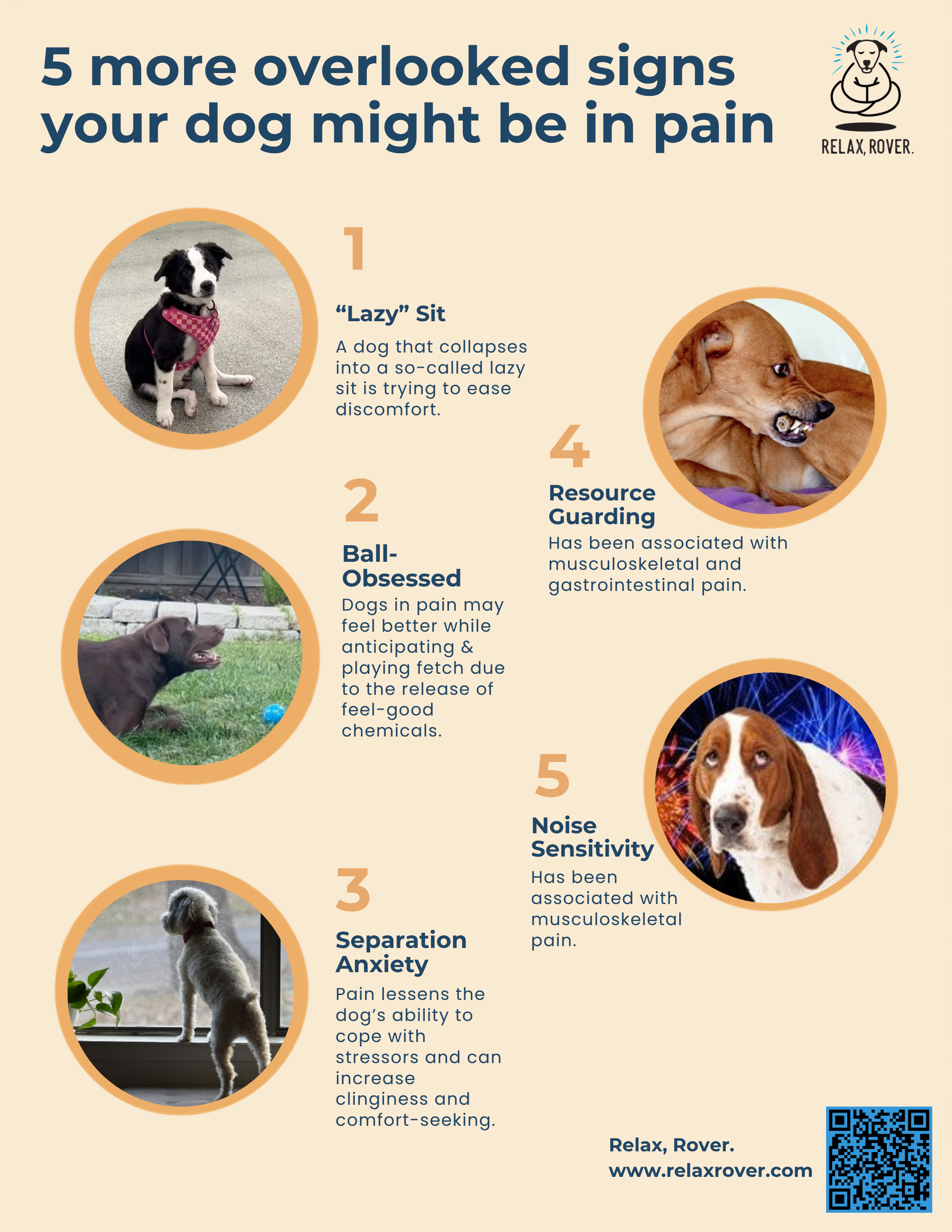 5 More Overlooked Signs Your Dog Might Be in Pain preview
