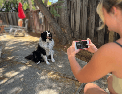 A guardian photographing their dog outdoors