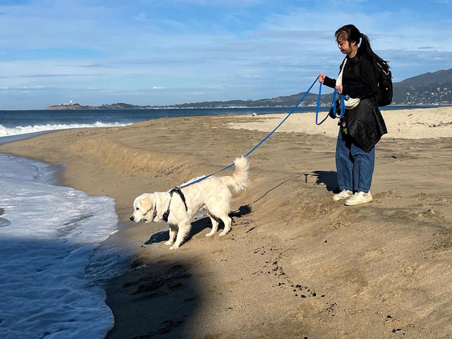 Guardian on a sandy beach with a light-colored dog on a long line and harness exploring near ocean waves