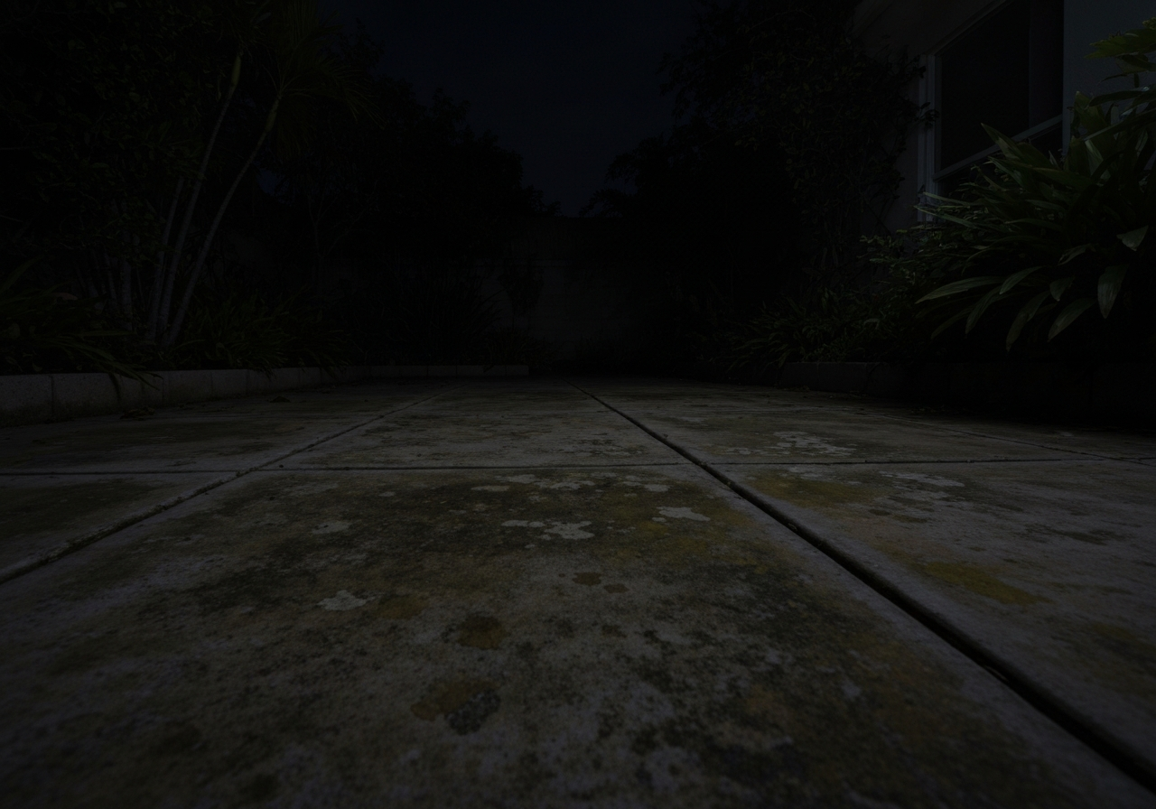 Before landscape lighting