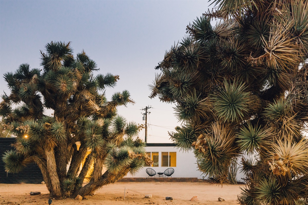 The Luxe Hi Desert Exterior