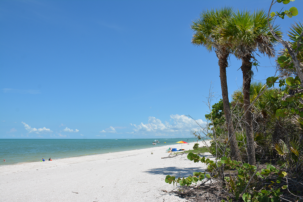 View of Barefoot Beach Preserve
