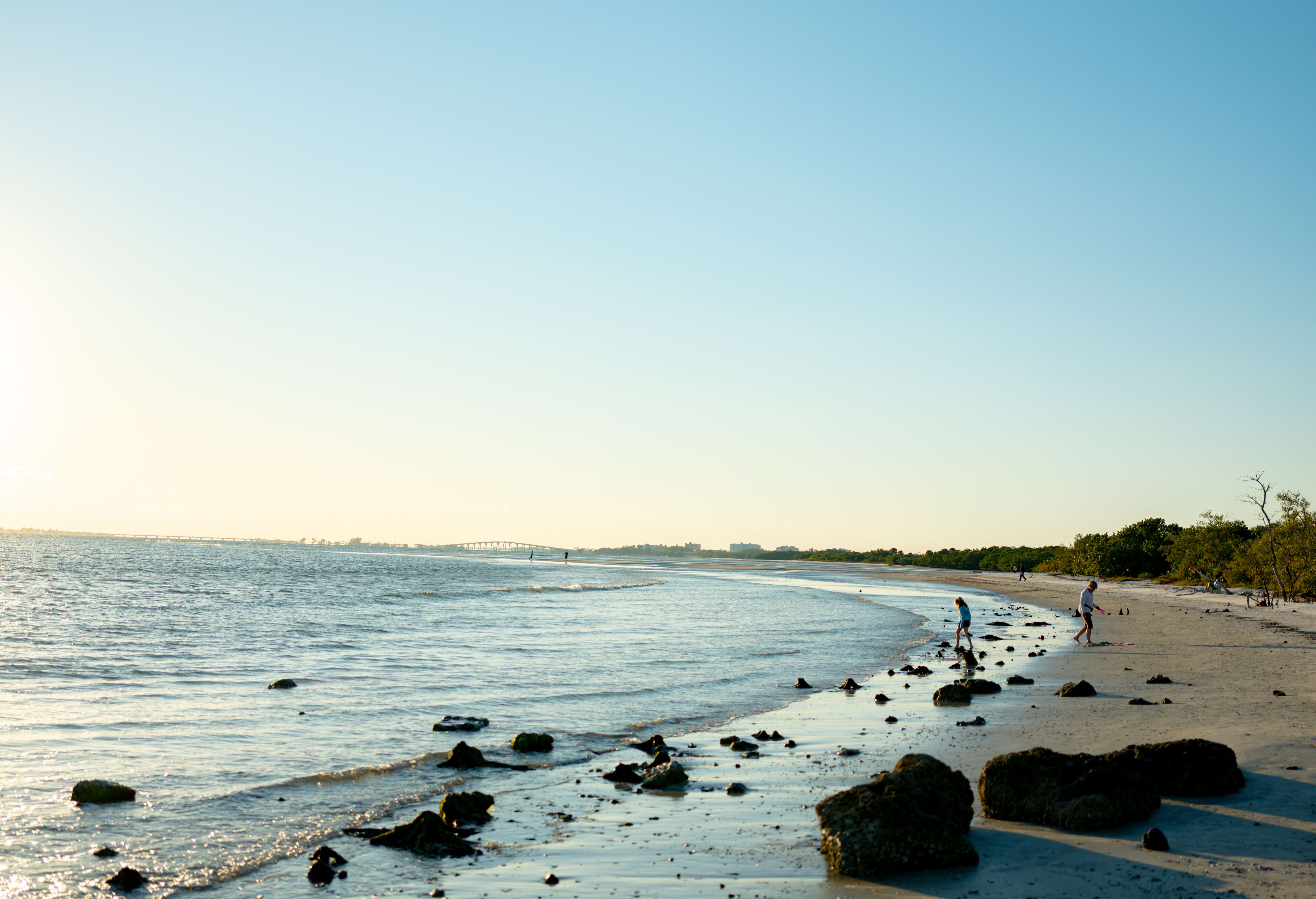 View of Bunche Beach Preserve