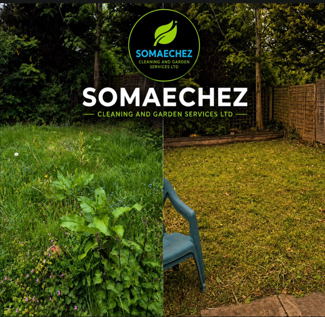 Garden clearance before and after - overgrown garden transformed