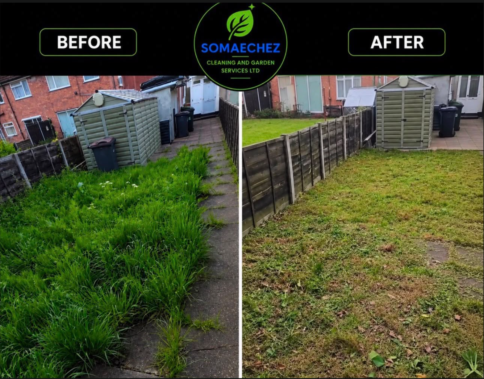 Lawn and garden transformation - weeds cleared to pristine lawn