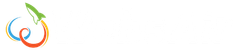 WebsAir Logo