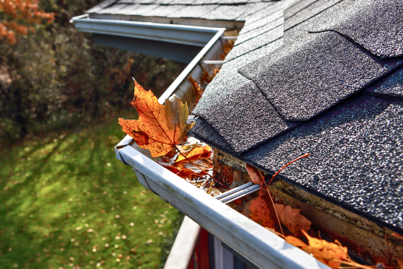 Gutter Cleaning