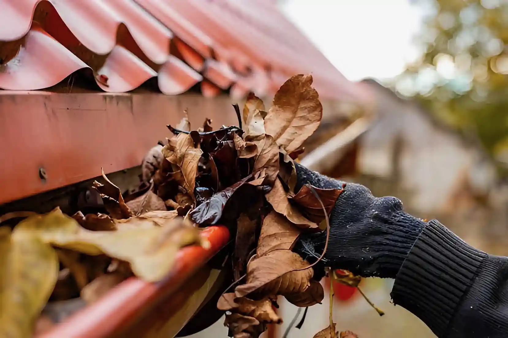 Gutter Cleaning benefits