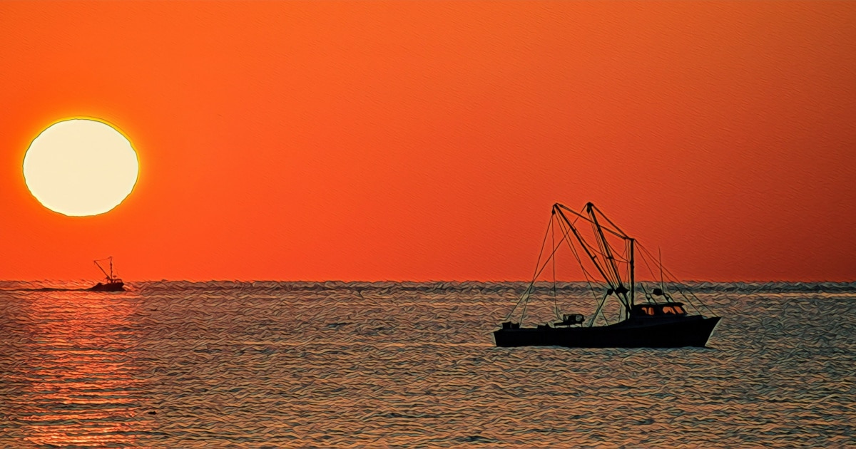 chesapeake bay oyster boat