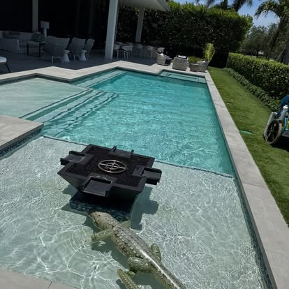 Modern Pool & Fire Lounge
