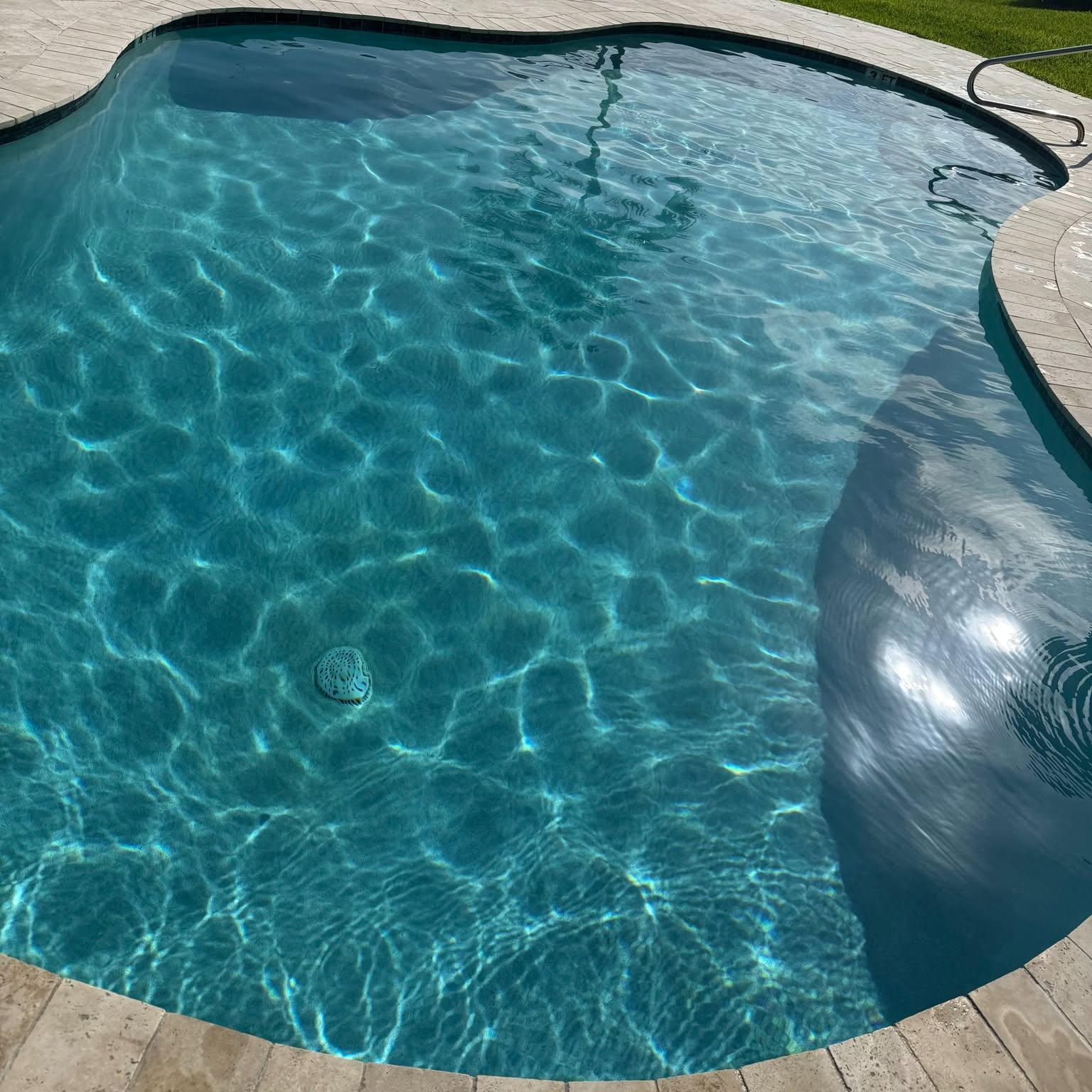 Freeform Pool Oasis