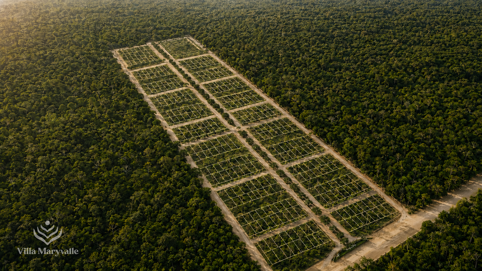 Áreas Verdes y Lotificación