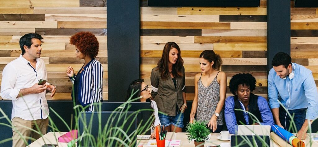 Diversity and Inclusion Training and Consulting