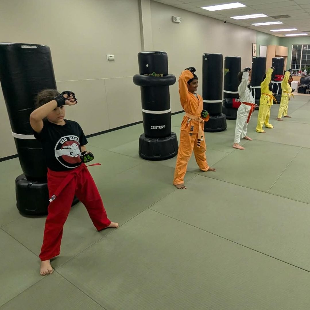Kids Martial Arts practice 4